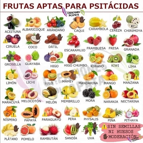 frutas aptas para ninfas